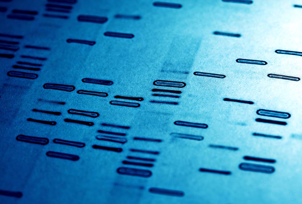 dna-secret-code-shutterstock_129482621